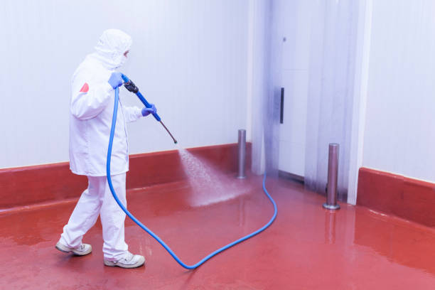Best Solar Panel Cleaning  in Rancho Mission Viejo, CA